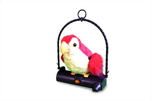اسباب-بازی-طوطی سخنگو
