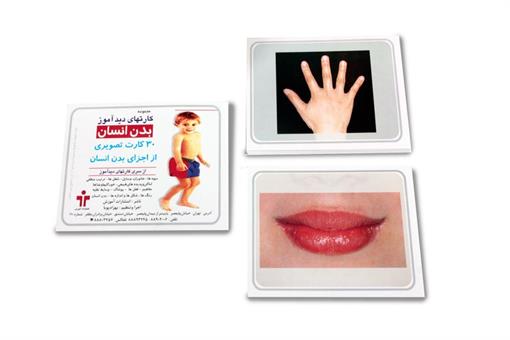 اسباب-بازی-کارت دیدآموز بدن انسان