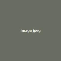 اسباب-بازی-تست